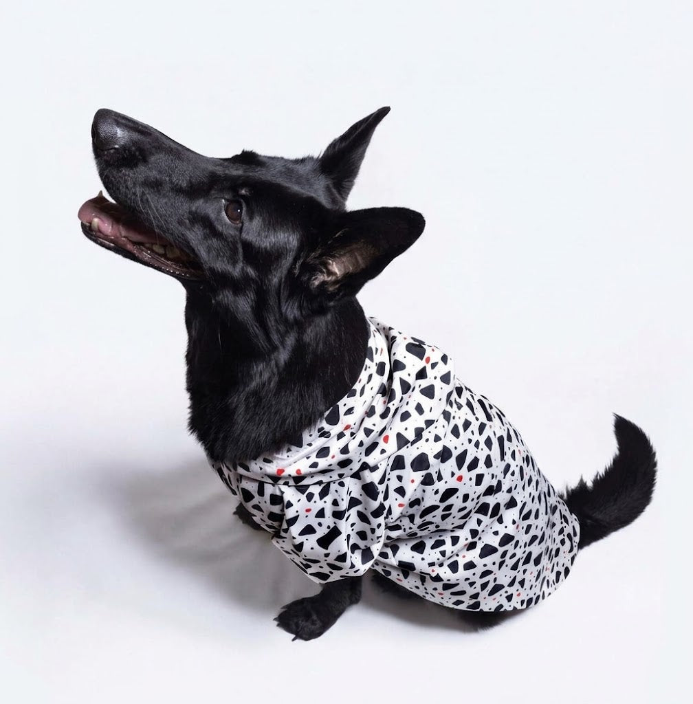 Origins Serisi Casual Köpek Yağmurlu Terazzo Edition