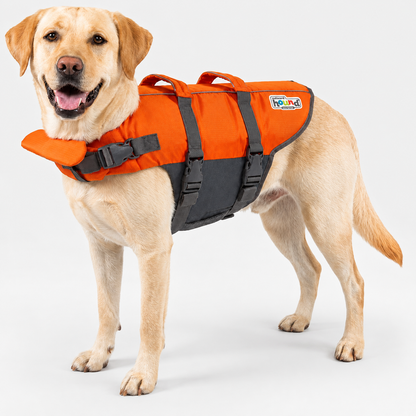 Reflektif Ayarlanabilir Köpek Can Yeleği