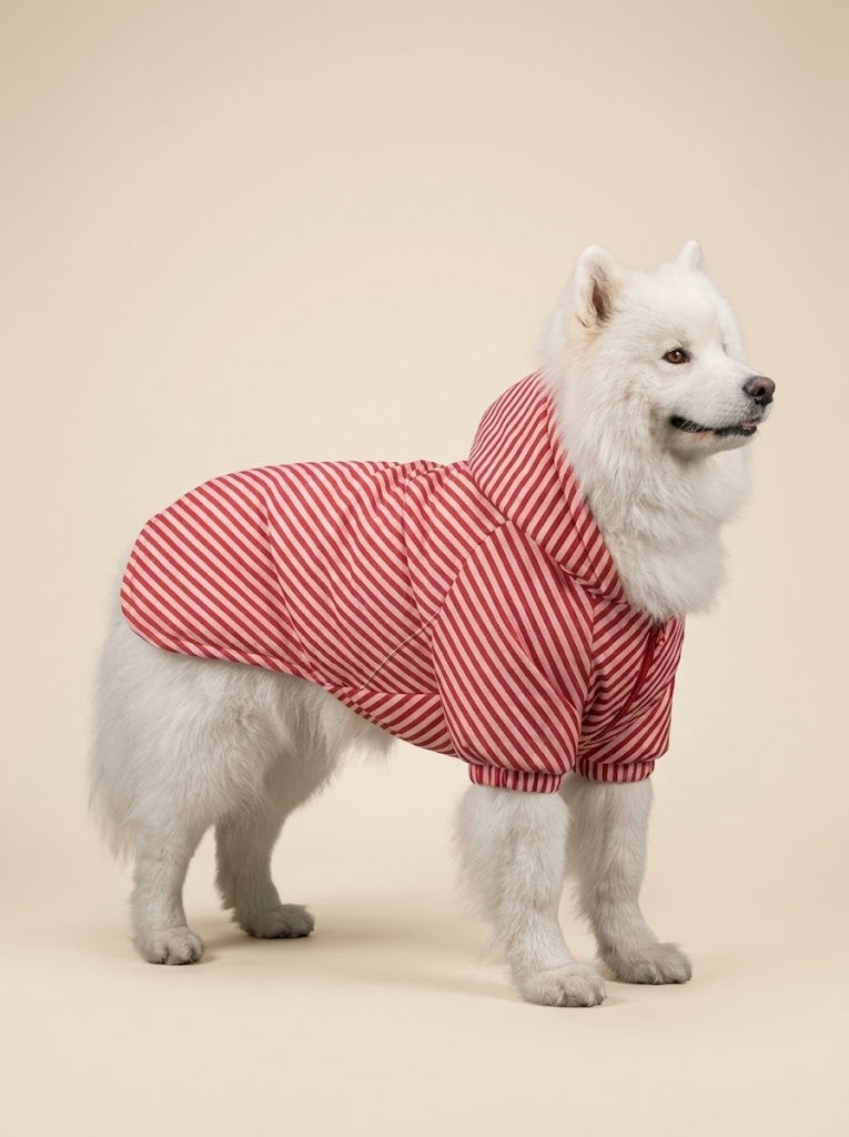 Reflective Adjustable Dog Life Vest