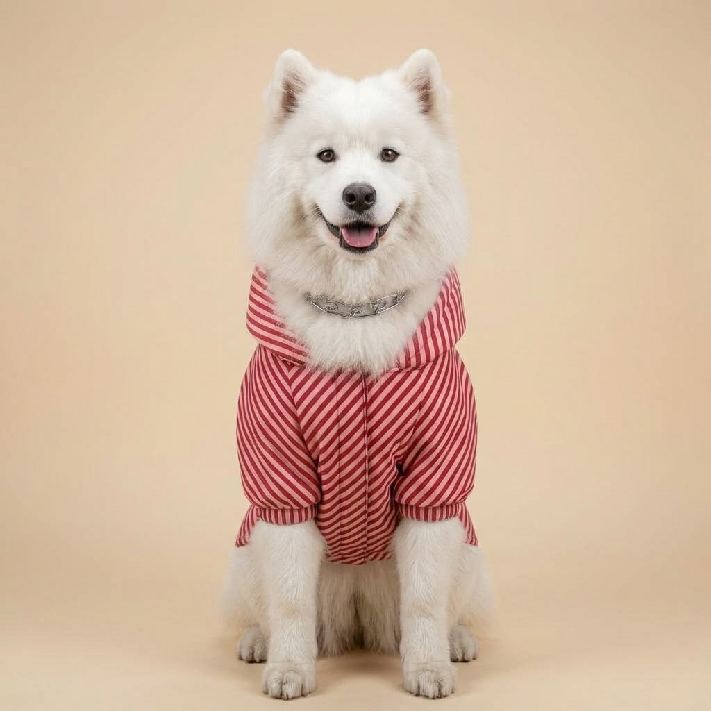 Reflective Adjustable Dog Life Vest