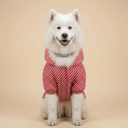 Reflective Adjustable Dog Life Vest