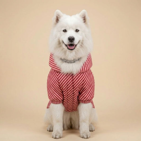 Origins Serisi Casual Köpek Yağmurluğu Pink Yves Edition