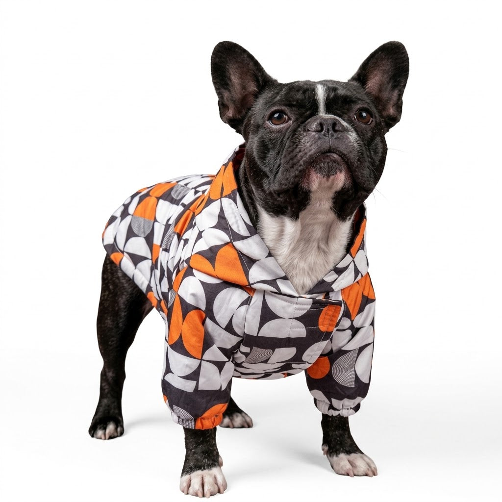 Origins Serisi - Casual Köpek Yağmurluğu - Neue Haus Edition