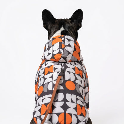 Origins Serisi - Casual Köpek Yağmurluğu - Neue Haus Edition