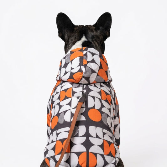 Origins Serisi - Casual Köpek Yağmurluğu - Neue Haus Edition